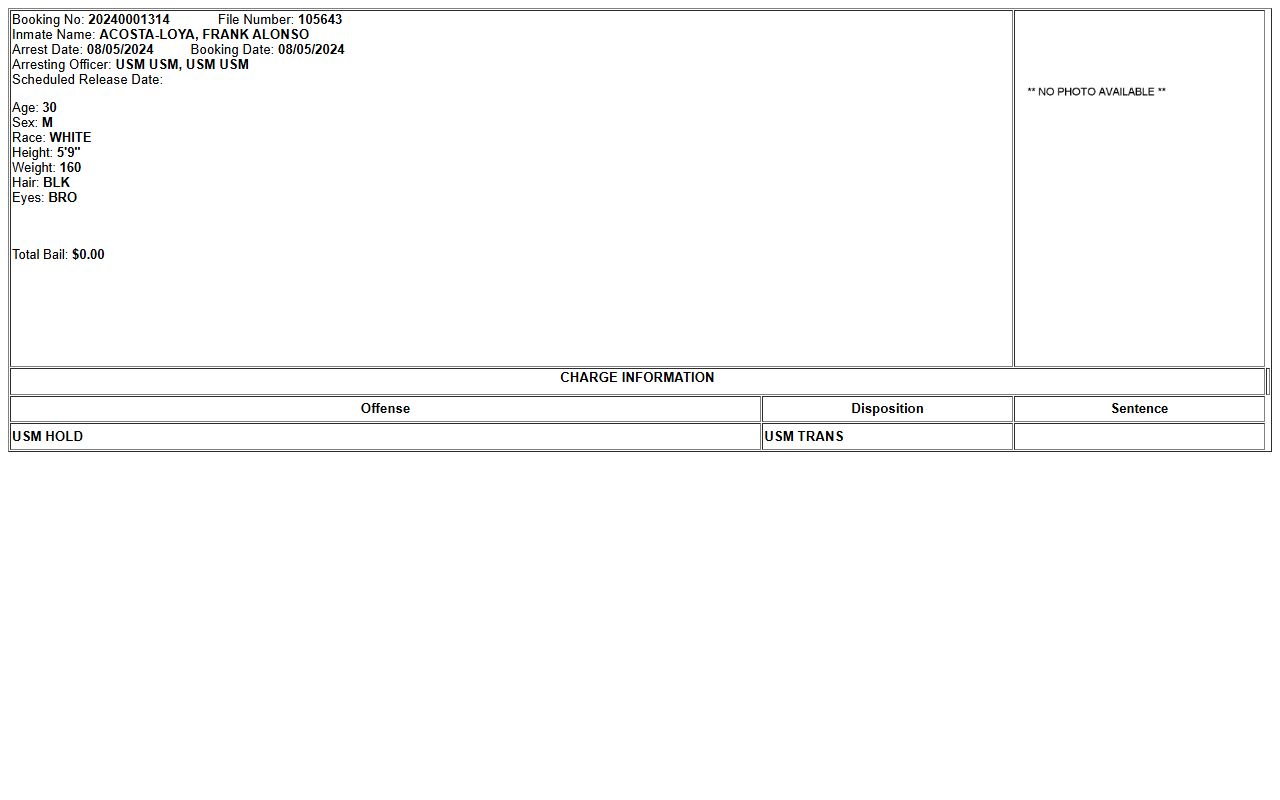 Columbia County inmate records sample profile with booking number photo and charge fields
